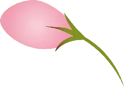 Pink Flower - Curated PNG - beautiful