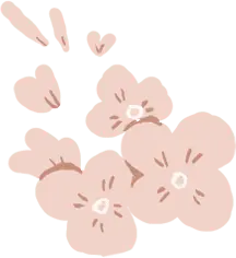 Pink Flowers - Transparent Layer PNG - spring