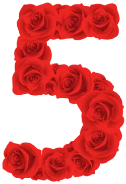 Number Five Made of Roses - rose - Lossless PNG