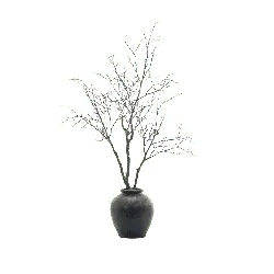 Potted Tree - art - No Background PNG
