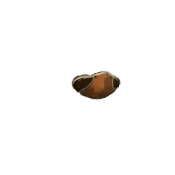 Brown Ring - jewellery - High Resolution PNG