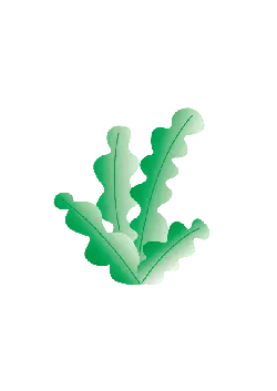 Three Leaves - minimalistic - PNG