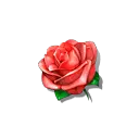 Rose - beautiful - PNG Images
