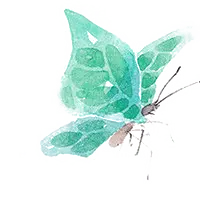 Emerald Swallowtail - nature - Free Download PNG
