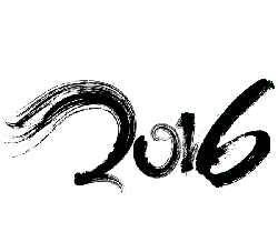 Black Owl - nighttime - mouse catcher - No Watermark PNG