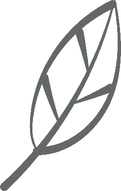 Leaf - environmental protection - Transparent Background PNG