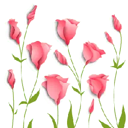Pink Flowers - plant - illustration - High Resolution PNG