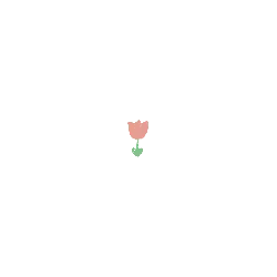 Pink Flower - simple - cartoon - PNG