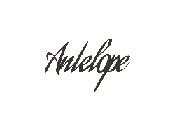 Antelope - running - Free PNG