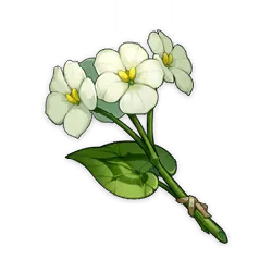 Viola odorata - green leaves - PNG