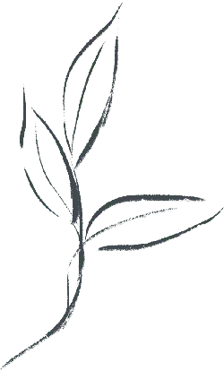 Abstract Line Art - minimalist - High Quality PNG