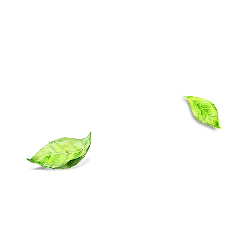 Two Green Leaves - green leaves - Lossless PNG