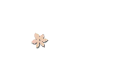 Five-Petal Flower - High Resolution PNG