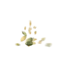 Leaves Falling - autumn - green - High Resolution PNG