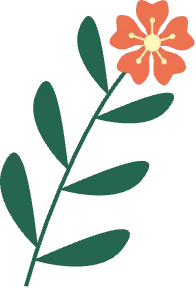 Flower Branch - green - Transparent Layer PNG