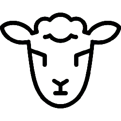 nocturnal animal - High Download Count PNG - Black Owl