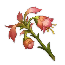 Coral Flower - plant - Lossless PNG