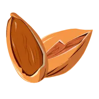 Pistachio - Free for Commercial Use PNG