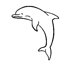Dolphin - line drawing - Free Download PNG