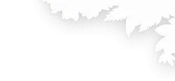 White Leaf Silhouette - minimalism - Free Download PNG