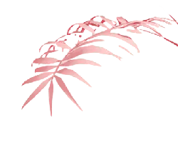 Pink Leaf - High Resolution PNG