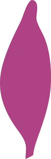 Abstract Shape - figure - PNG