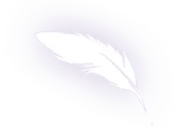 Feather - birds - High Resolution PNG