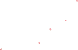 Pink Petals Falling - fall - High Download Count PNG