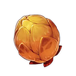 Pitaya - Transparent Layer PNG