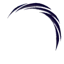 Abstract Artwork - mysterious - curves - No Watermark PNG