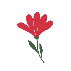 Red Flower - beautiful - PNG Images