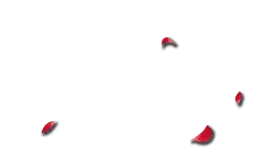 Red Petals - nature - art - Free PNG