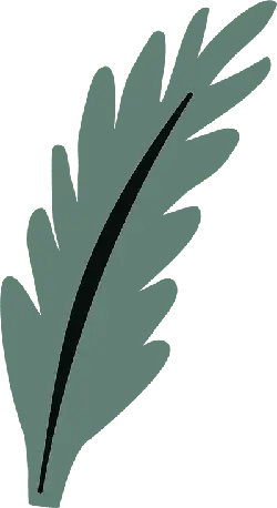 Feather - birds - green - Transparent Background PNG