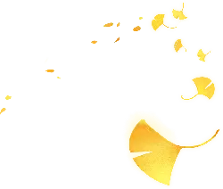 Ginkgo Leaf - black background - No Watermark PNG