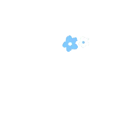Blue Flower and White Flower - plant - No Background PNG
