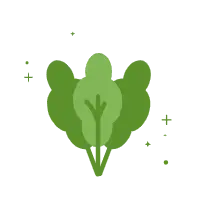 Leafy Greens - fresh - PNG