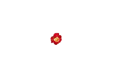 Red Flower - plant - Lossless PNG