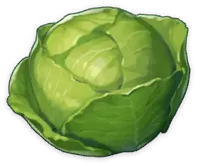 Cabbage - fresh - nutrition - Transparent Layer PNG