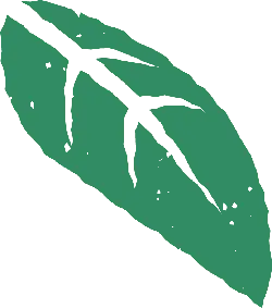 Green Leaf - leaf - High Download Count PNG