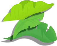 Green Leaves - environmental protection - green leaves - PNG