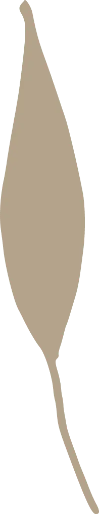 Leaf - High Resolution PNG - Recommended PNG