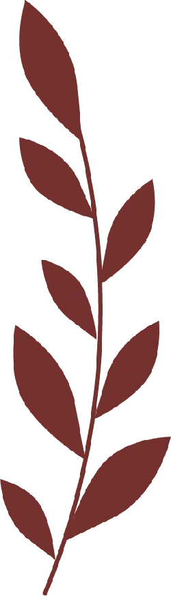 Brown Leafy Branch - plant - PNG