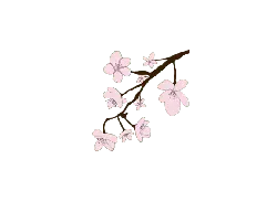 Cherry Blossom Branch - branch - Highly Rated PNG
