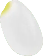 Butterfly Wing - color - No Watermark PNG
