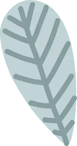 Leaf - plant - Trending PNG