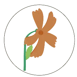 Orange Flower - plant - No Background PNG