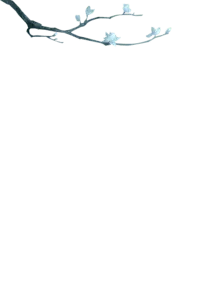 Branch with Leaves - minimalistic - No Background PNG
