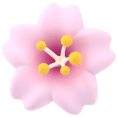 Cherry Blossom - beautiful - pink - Transparent Background PNG
