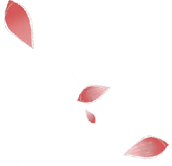 Red Petals Falling - red - No Background PNG