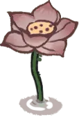 Lotus Flower - cartoon - Free Download PNG